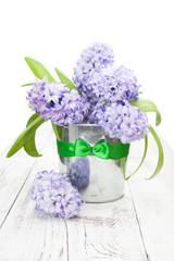 Violet hyacinths in a bucket