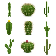 Foto op Canvas 3d renders of cactuses set © bescec