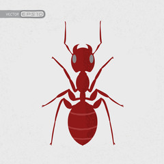 Red ant , eps10 vector format
