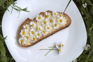 gänseblümchen brotbelag