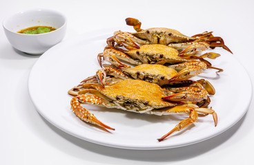 Hot Steamed Blue Crabs.