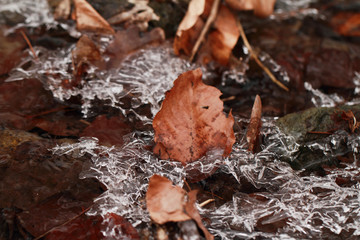 Ice