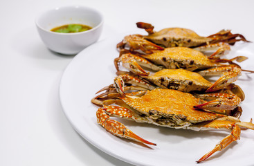 Hot Steamed Blue Crabs.