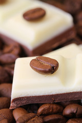 Cappuccino and vanilla chocolate decorated with coffee bean