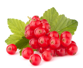 Red currants and green leaves still life