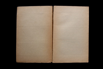 an opened, old book with blank yellow stained pages