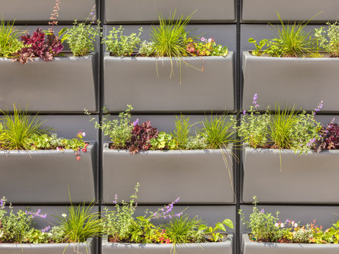 Wall with rows of plastic baskets filled with plants