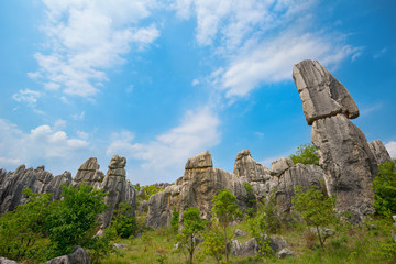 Natural landscape of China (Stone Forest)