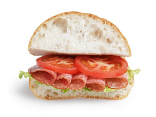 italian sandwich with salami