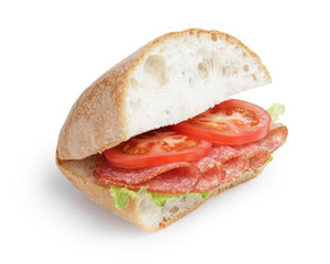 italian sandwich with salami