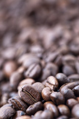 Coffee Beans - Bokeh