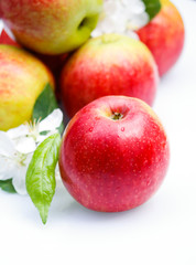 Äpfel und Apfelblüte