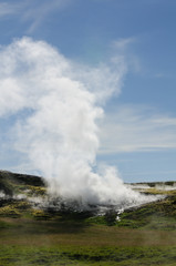 Fototapeta na wymiar Fumarole in Iceland