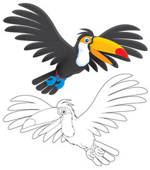 Toucan © Alexey Bannykh