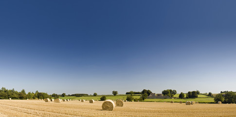 Obraz premium Hay bales, Idyllic rural landscape.