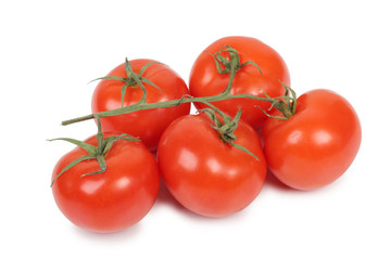 Red tomatoes on branch
