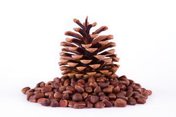 ДАРЫ ЛЕСА © sviat_ua