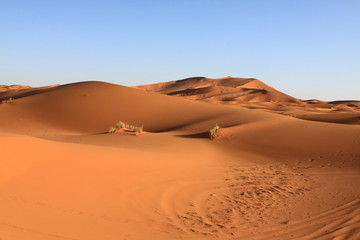 Sand dunes and cloudless sky in Merzouga,Morocco