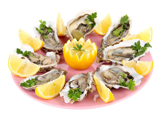 Oysters isolated on white
