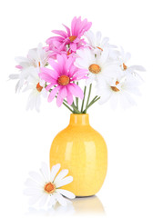 Beautiful daisies in colorful vase isolated on white