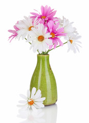 Beautiful daisies in colorful vase isolated on white
