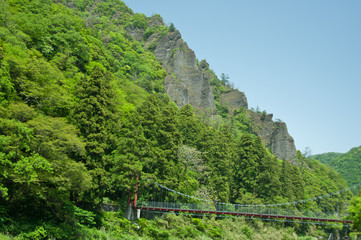 新緑と吊り橋