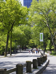 Central park