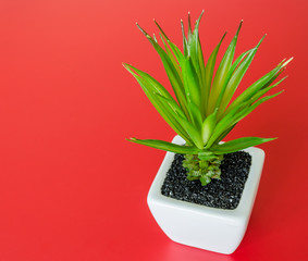 plastic bush tree in a ceramic planter