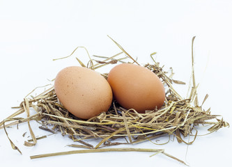 Chicken eggs in the nest of straw.