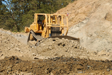 Obraz premium Bull BASCO