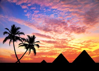 Foto op Plexiglas Egyptische piramides en palmbomen © pikoso.kz