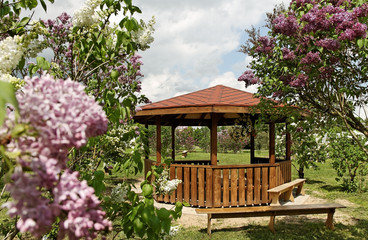 Naklejka premium Arbor in a garden.
