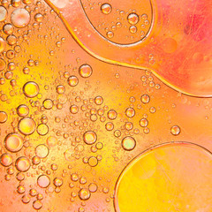 Oil bubbles on a water surface