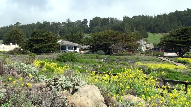 Typical  seaside village (Cambria) at California Route 1, USA
