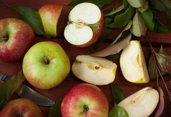 Apples and tree branch with green leaves - garden harvest