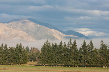 autumn fog in Lewis Pass