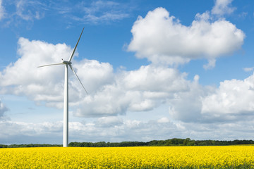 Wind Turbine, Deutschland