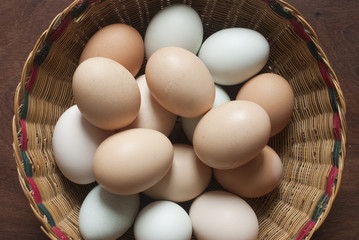 Eier