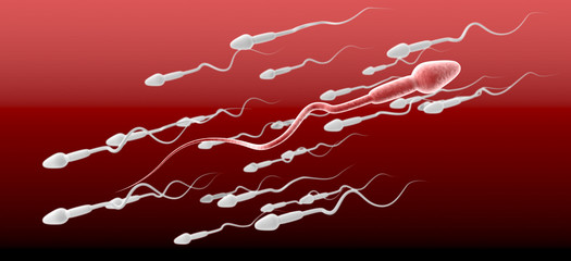 Sperm Cell Female Against The Flow