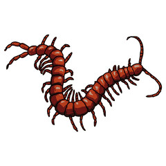 mille-pattes