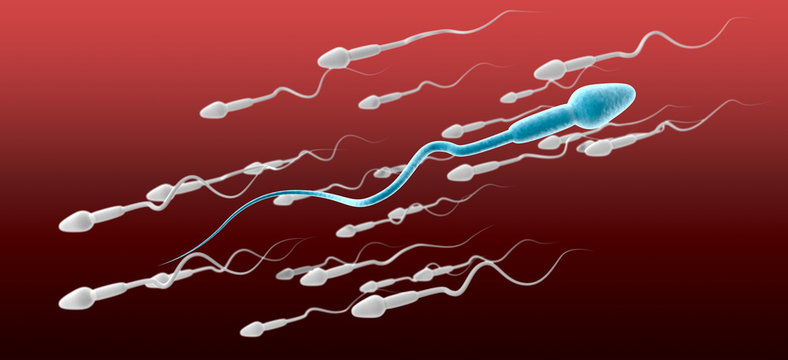 Sperm Cell Male Against The Flow