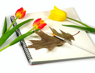 three tulips and notebook