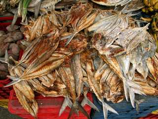 Sea food,fish