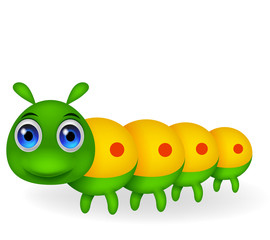 Cute green caterpillar cartoon