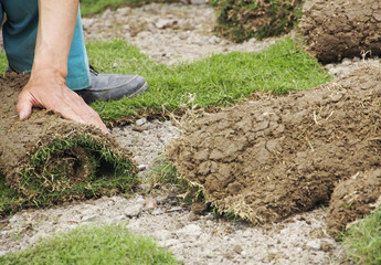 Grassode (Rollrasen)