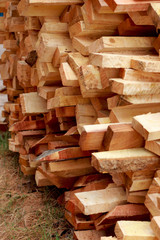 pile of cut wood stump