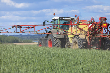 Traktor im Getreidefeld © Tilo Grellmann