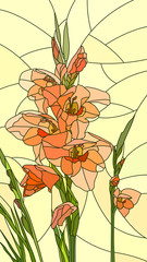 Naklejki  Vector illustration of flowers red gladiolus.