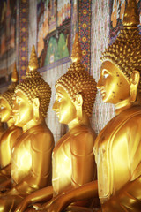 Meditating Row of Buddhas