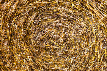 Texture of hay, close up